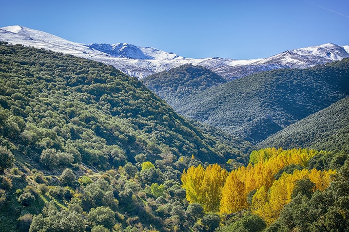 Paisaje Sierra Nevada