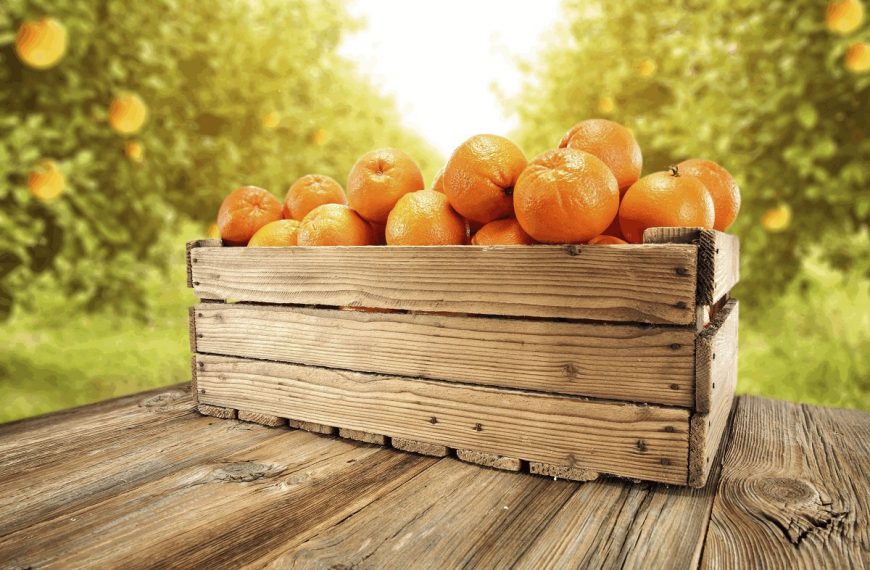 Junta de Andalucía y Asociafruit buscan aumentar el consumo de la ‘Naranja de Andalucía’ promocionando su calidad y sus beneficios para la salud