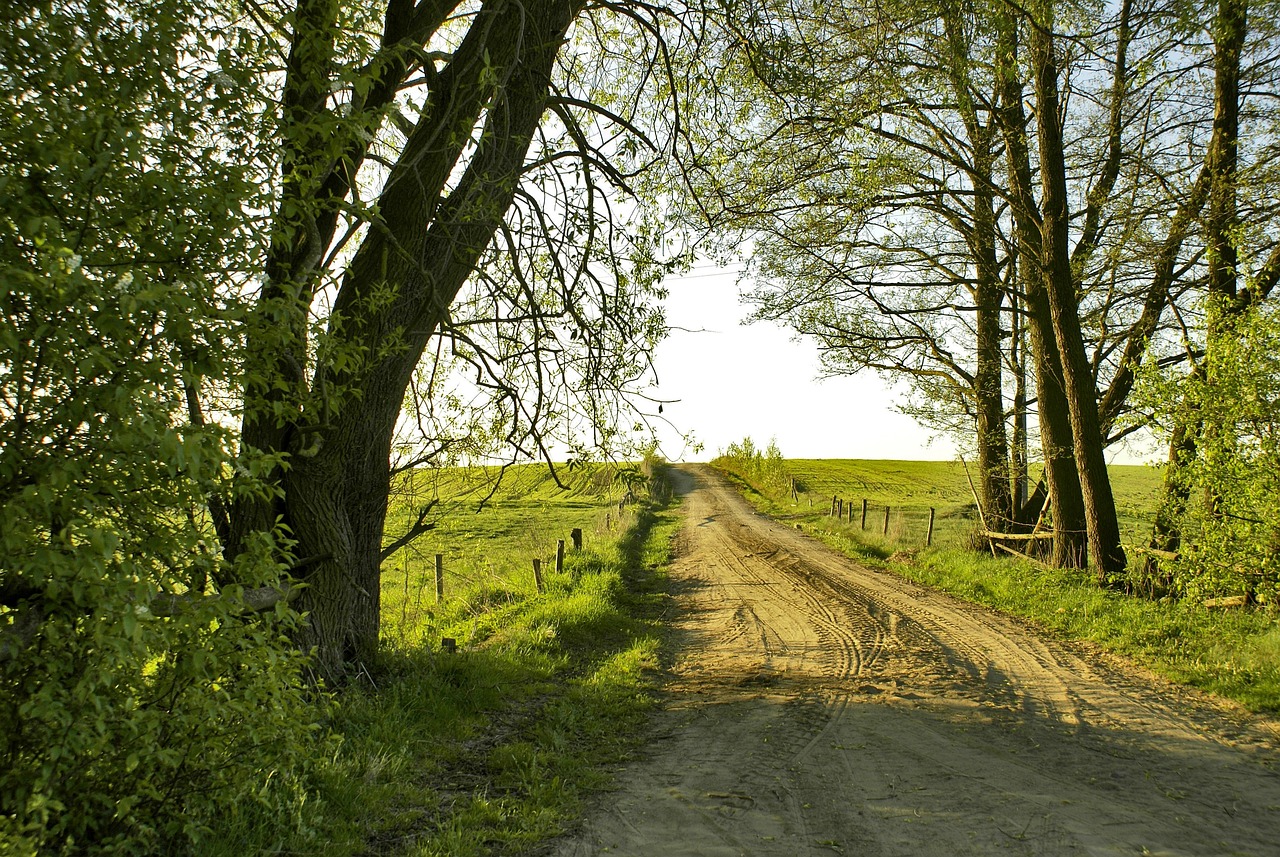 Caminos rurales Andalucía