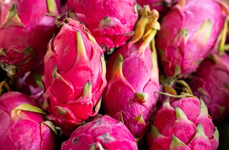 variedades de pitaya autopolinizantes