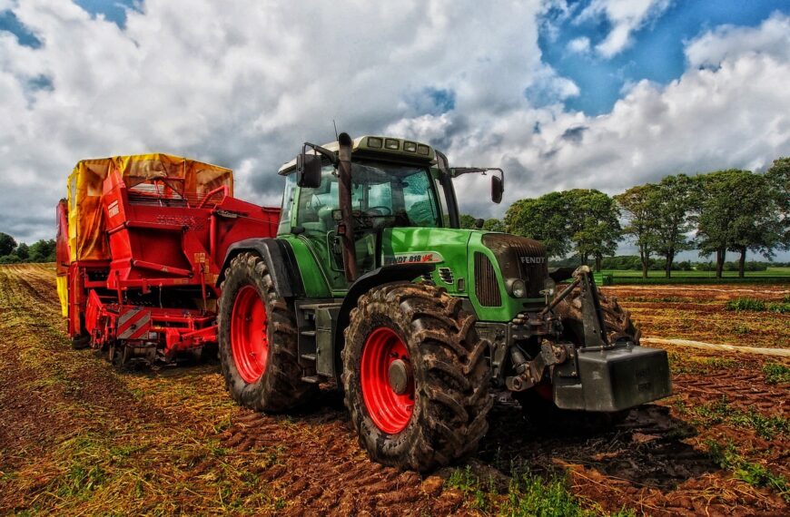 Crecimiento en el sector agrario Andalucía