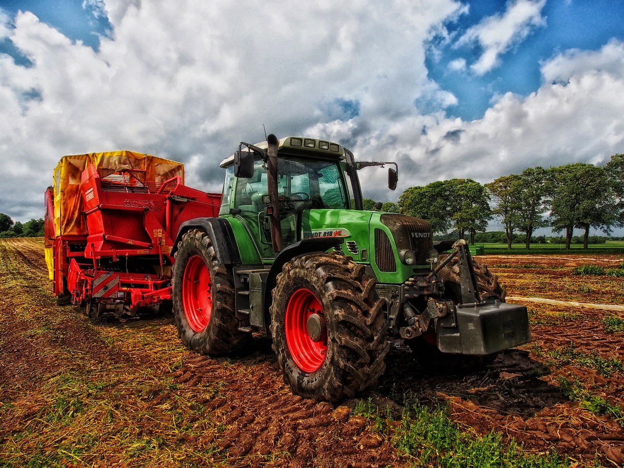 Crecimiento en el sector agrario Andalucía