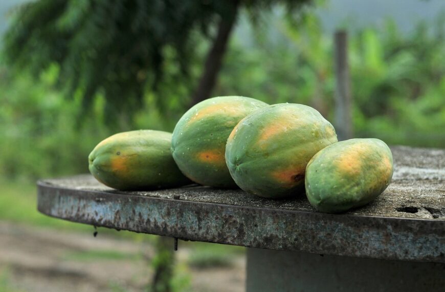 Evolución del precio de la papaya desde el año 2021