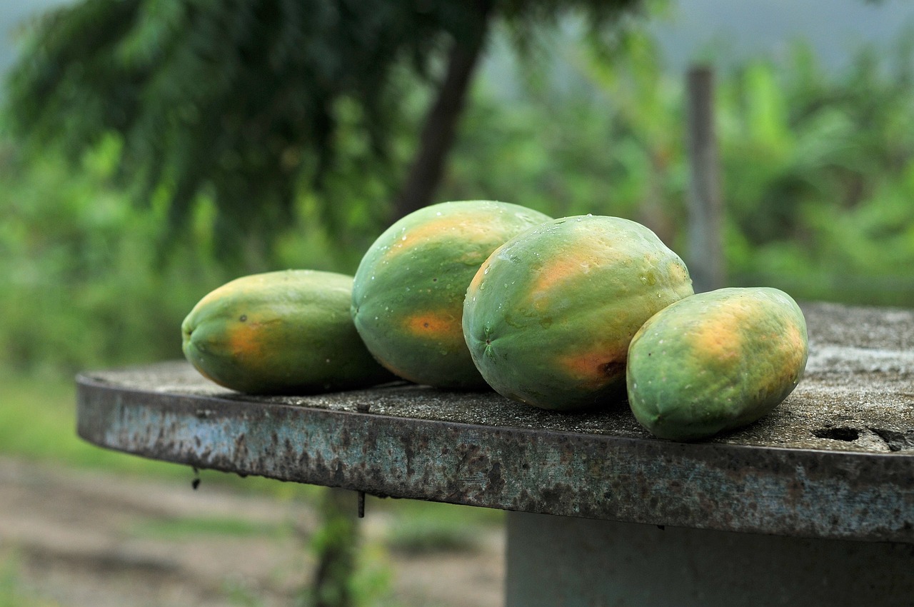 Evolución del precio de la papaya desde el año 2021