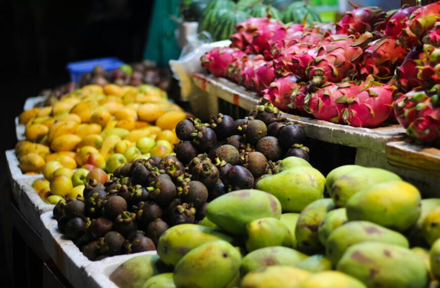 Futuro de la Pitaya Autopolinizante en la Agricultura Global