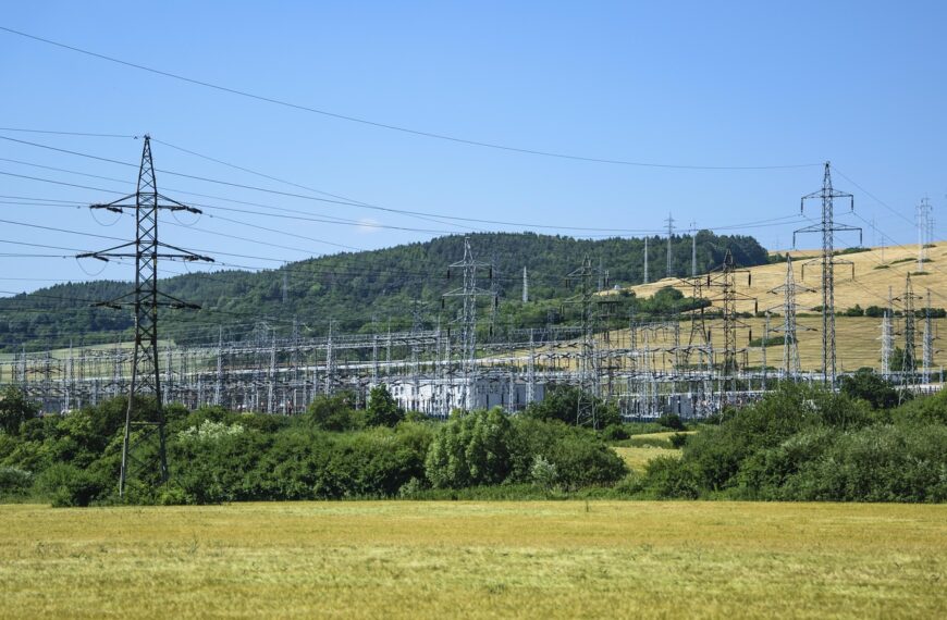 El apagón eléctrico del 28 de abril pone en jaque al campo: cultivos en riesgo y pérdidas económicas para agricultores