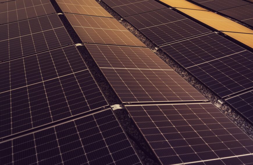 Energía renovable en la agricultura